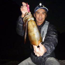 ナイトエギング