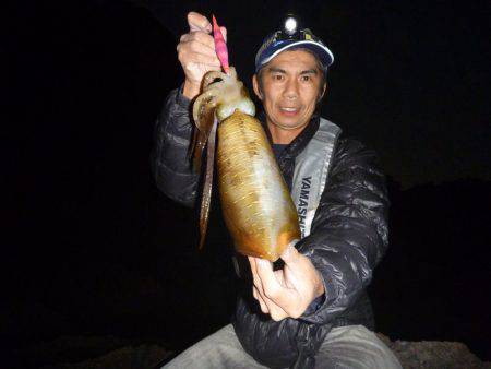 ナイトエギング