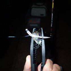 激濁りの舞洲アジング