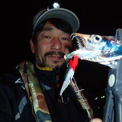 安定の太刀魚♪