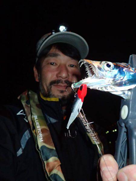 安定の太刀魚♪