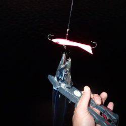 ベビーウエイトルアーｄｅ太刀魚！