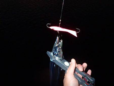 ベビーウエイトルアーｄｅ太刀魚！