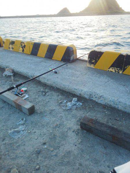 今会は良くアタリも出ました・・・太刀魚・・・