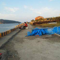 太刀魚ゲット・・・・・