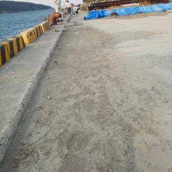 太刀魚も終わり・・