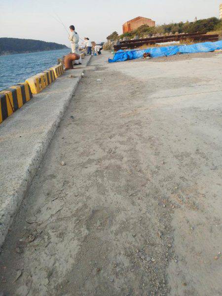 太刀魚も終わり・・