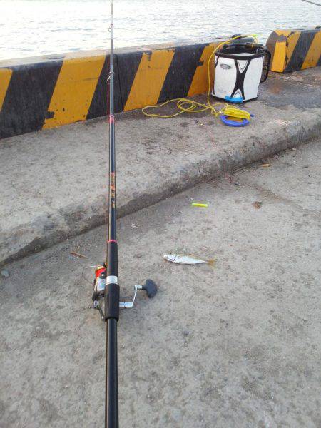 太刀魚も終わり・・pt2