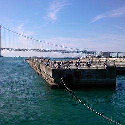 ファミリーフィッシングでサビキ！