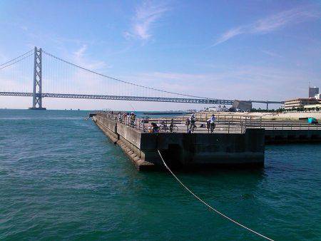 ファミリーフィッシングでサビキ！