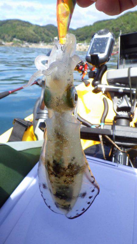 ジギング、エギング、タイラバなどなど