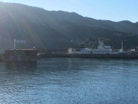 久しぶりの尺アジ