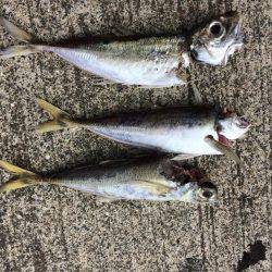 レッドモンスターの子