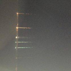 憧れのアコウは…