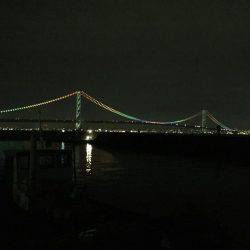 アジ、サバ、イワシ入れ食いでイカも！