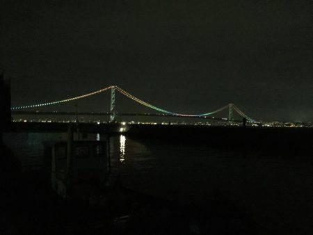 アジ、サバ、イワシ入れ食いでイカも！