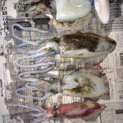 ケンサキ40センチを求めて