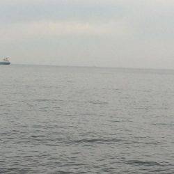 ルアーロスト後の辛勝