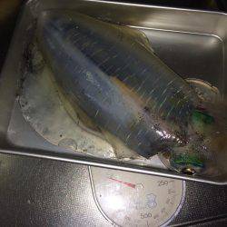 久々に仕事帰り