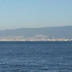 マイポイントで朝練