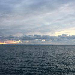 ファミリー釣行