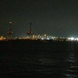 久しぶりの夕まずめ調査