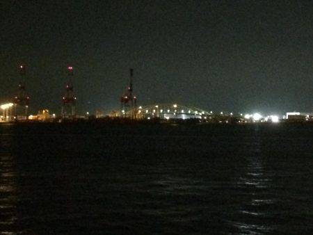 久しぶりの夕まずめ調査