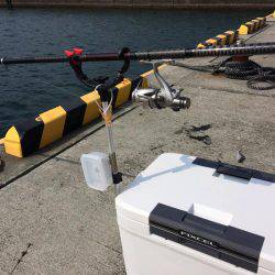 やっと墨付けできました。