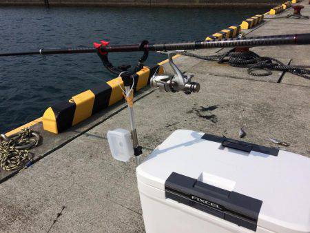 やっと墨付けできました。