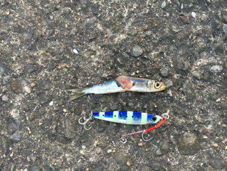 フォール中にガツン！