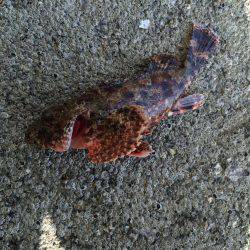 追い風に乗せて〜