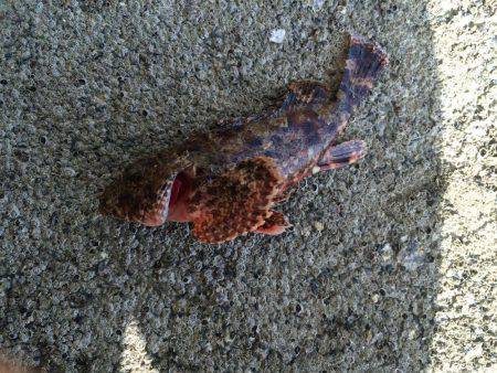 追い風に乗せて〜