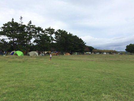 ホウライヒメジ?