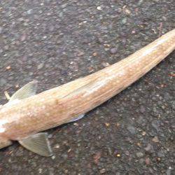 ボウズだけは勘弁してもらえた