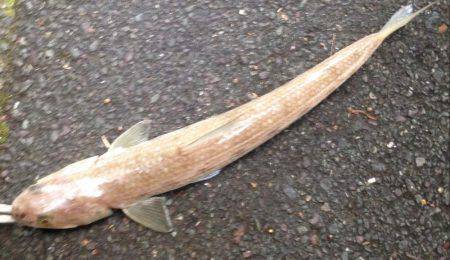 ボウズだけは勘弁してもらえた