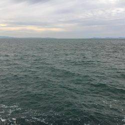 FLAP釣法で初キャッチ