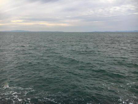 FLAP釣法で初キャッチ