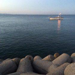 朝マヅメ東二見人工島釣行