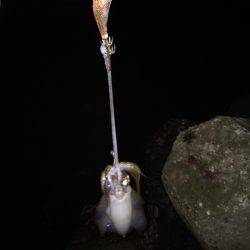 満足サイズが出ない！？