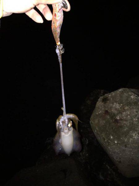 満足サイズが出ない！？