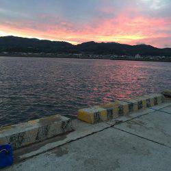 太刀魚とアジとイカとキス