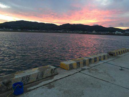 太刀魚とアジとイカとキス