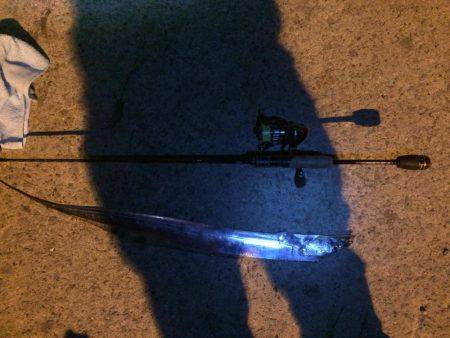 アジング&サビキ&泳がせ！