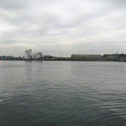 連夜の毎投アタリ