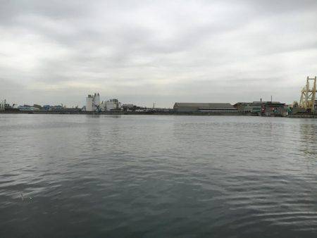 連夜の毎投アタリ