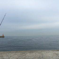 エソ、エソ、エソ…