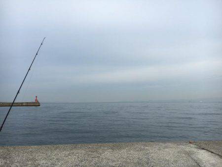 エソ、エソ、エソ…