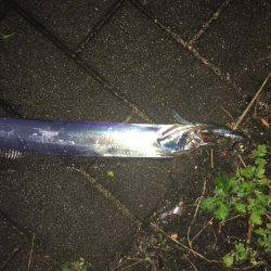 タチウオ コスモスクエア