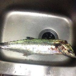 状況は良かった…