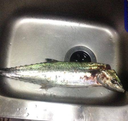 状況は良かった…